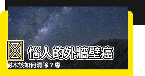 牆壁長樹處理|【外牆除樹】 惱人的外牆壁癌樹木該如何清除？專家出招輕鬆解決！